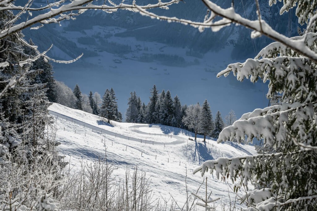 Winter snowy landscape and snow road in the swiss alps, framed by trees in the snow.