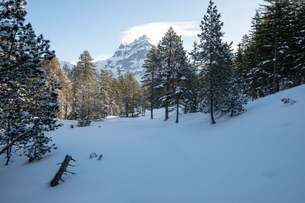 Winter landscape in the woods on a sunny day on the Swiss alps.