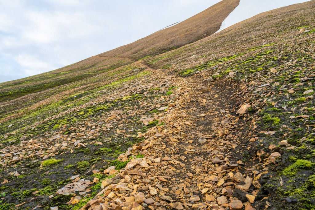Trail on a mountain side in the highlands of Iceland on The Skalli and Uppgönguhryggur Hike