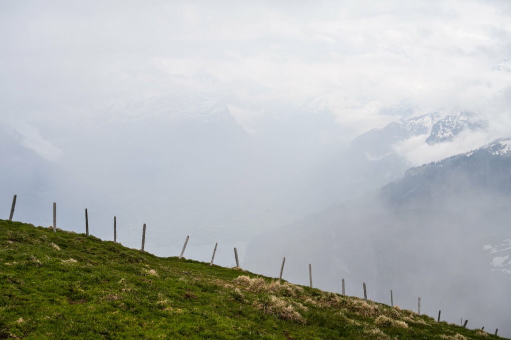 A fence on the side of the Nuederbauen on a hike to the top