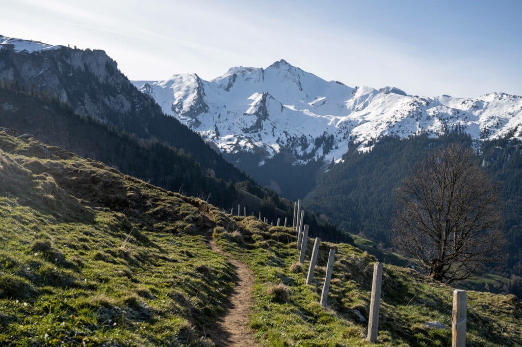 Trail on the Buochserhorn with snow-capped mountains in the background