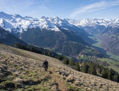 The Best Hikes around Lake Lucerne