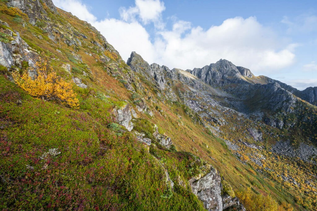 Trail up the side of a mountain in the Lofoten islands in Autumn