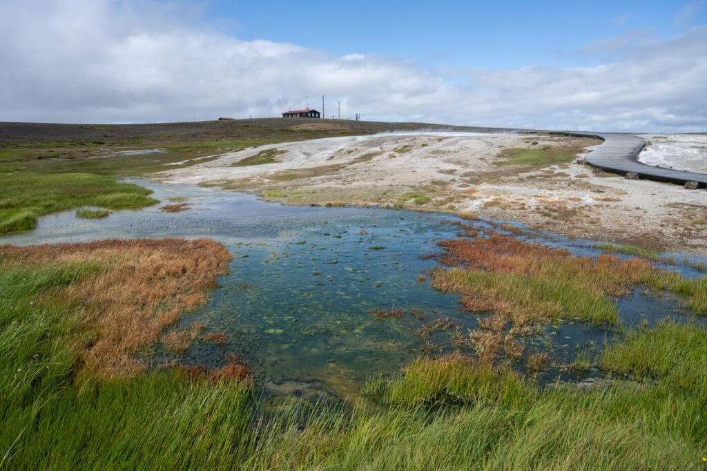 Marsh around the geothermal area in Hveravellir on a Sunny day
