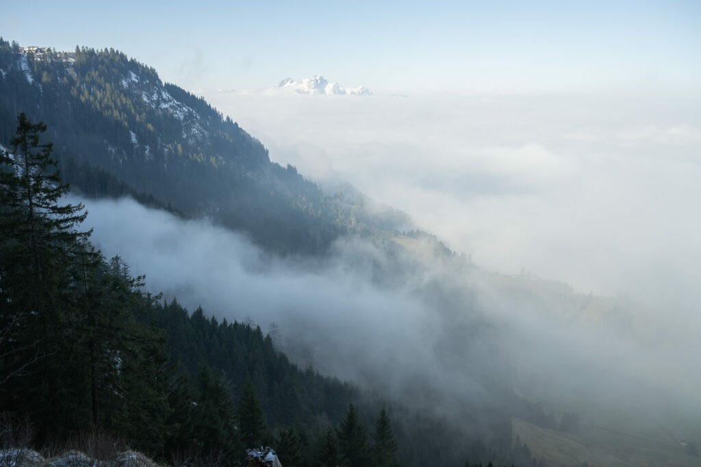 View from the hike to mount rigi of a mountain above the clouds