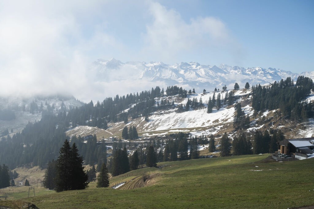 ALpine meadows and snowy mountains