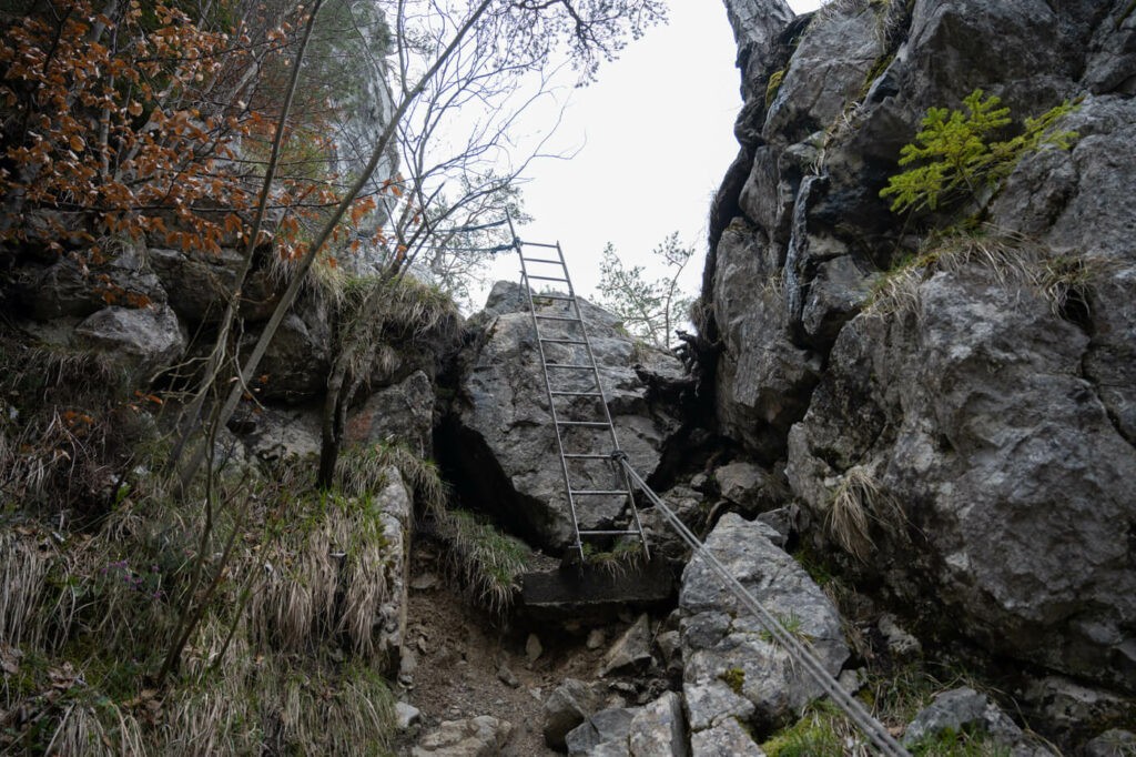 Ladder on the hike to the Rigi Stockflue