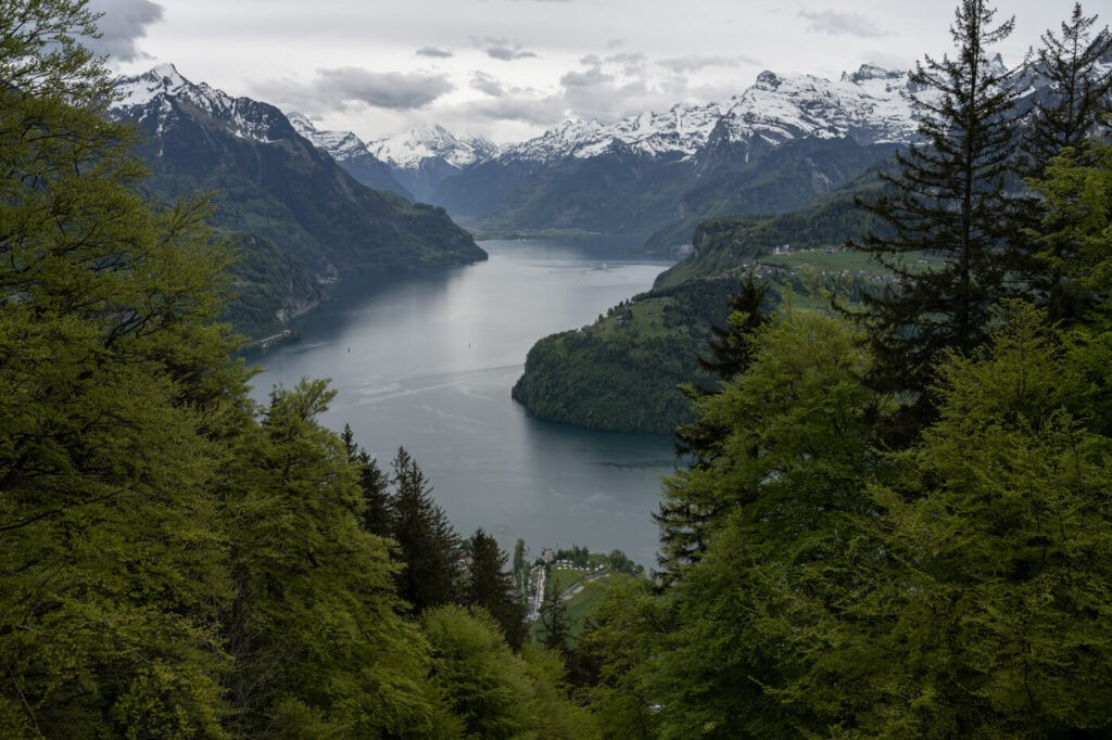 View of Lake Lucerne from the Rigi Stockflue trail