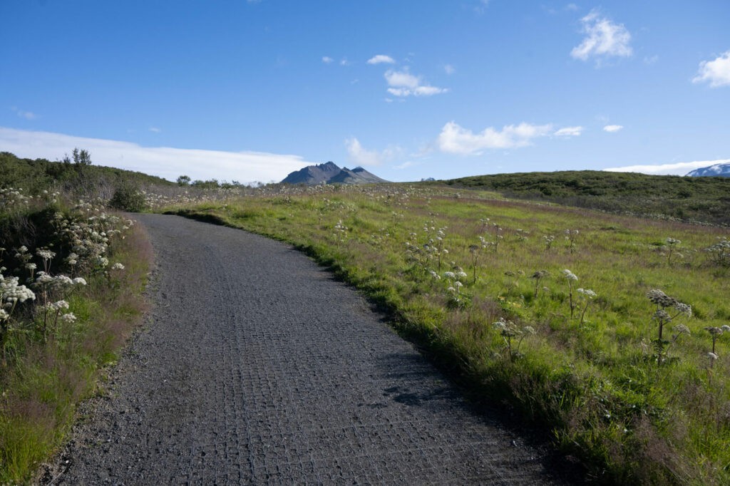 Trail in the Skaftafell national Park