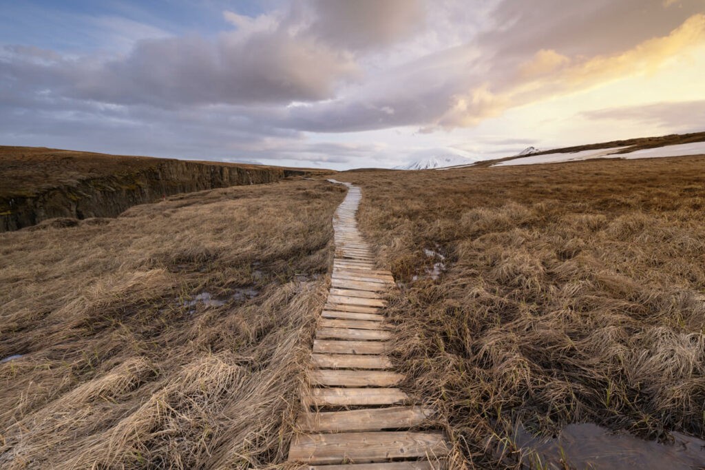 Boardwalk on the trail through Marshlands in East Iceland