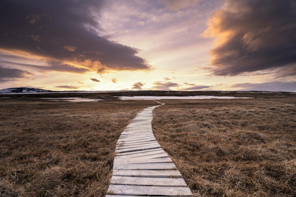Boardwalk through marshlands in the highlands of Iceland