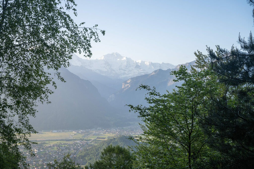 View of the Bernese overland alps from the harder culm trail.