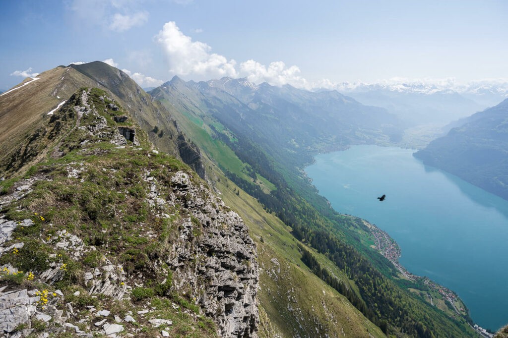 Lake brienz viewed on the trail during a hike to the Augstmatthorn