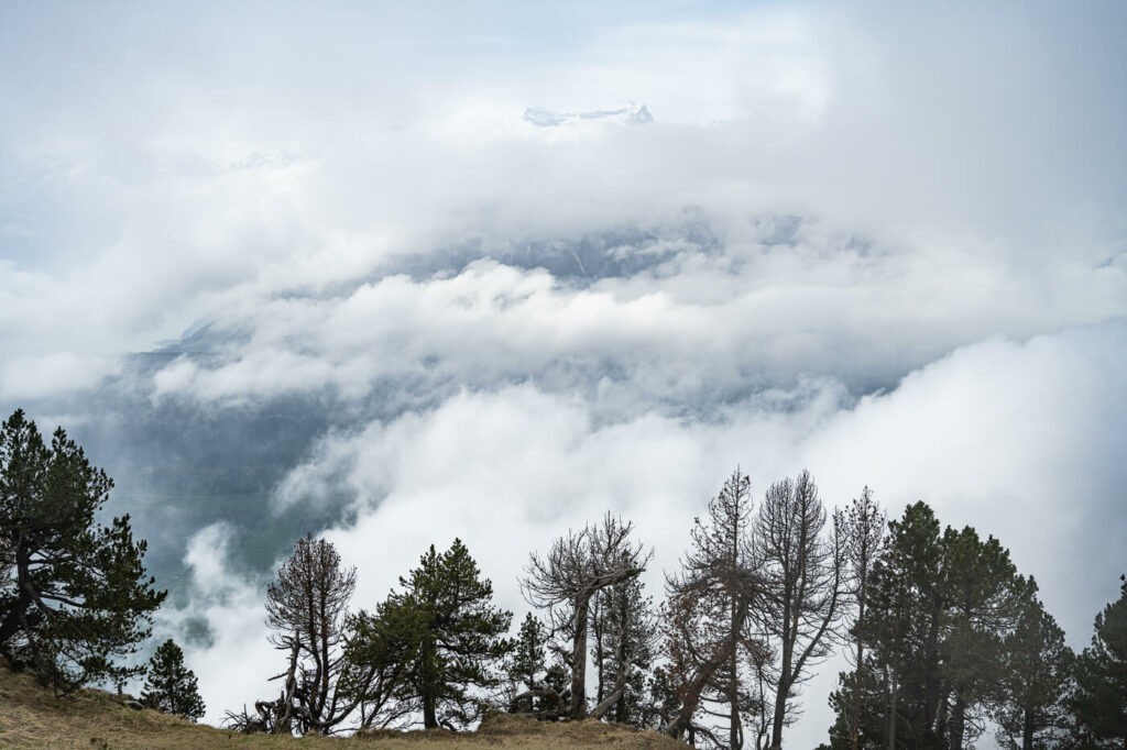 View from the top of the Rigi Hochflue Alpine Trail on a foggy and cloudy day