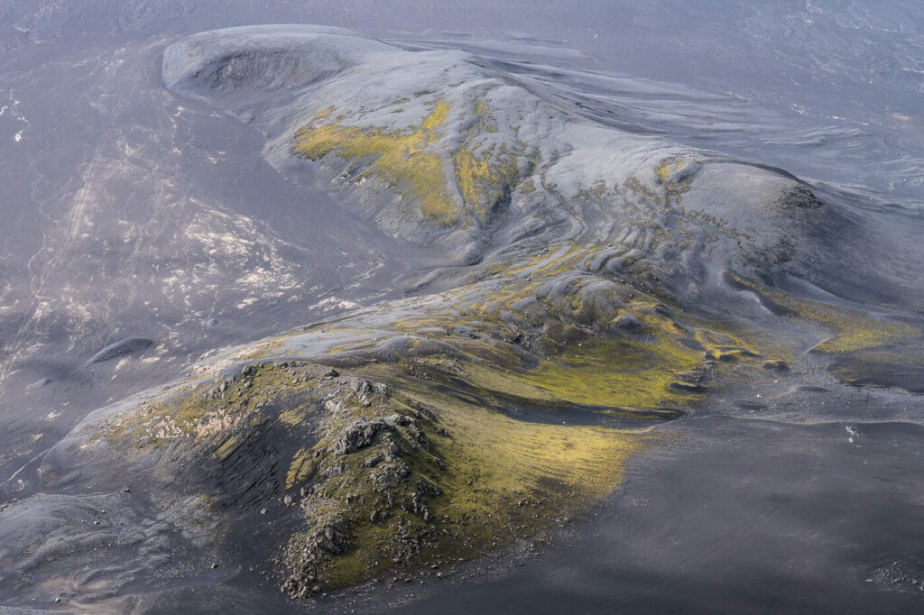 green moss on black volcanic sands in the highlands of Iceland