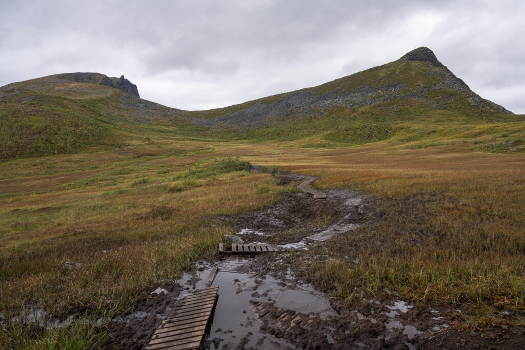 Boggy section with boardwalk on the hike to Husfjellet, with mountains in the background