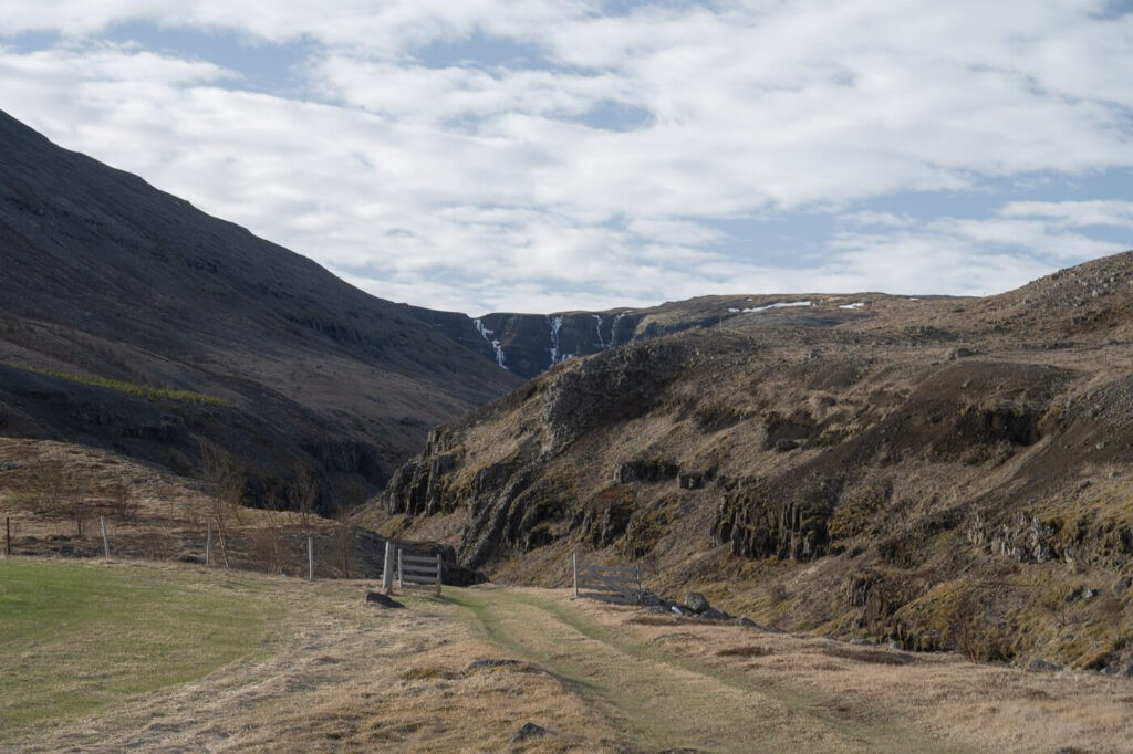 Icelandic landscape in the east with a trail in the foreground.