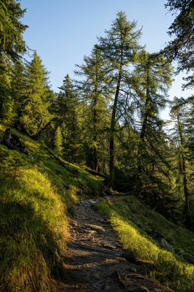 Hiking trail to the Gerenpass in the forest 
