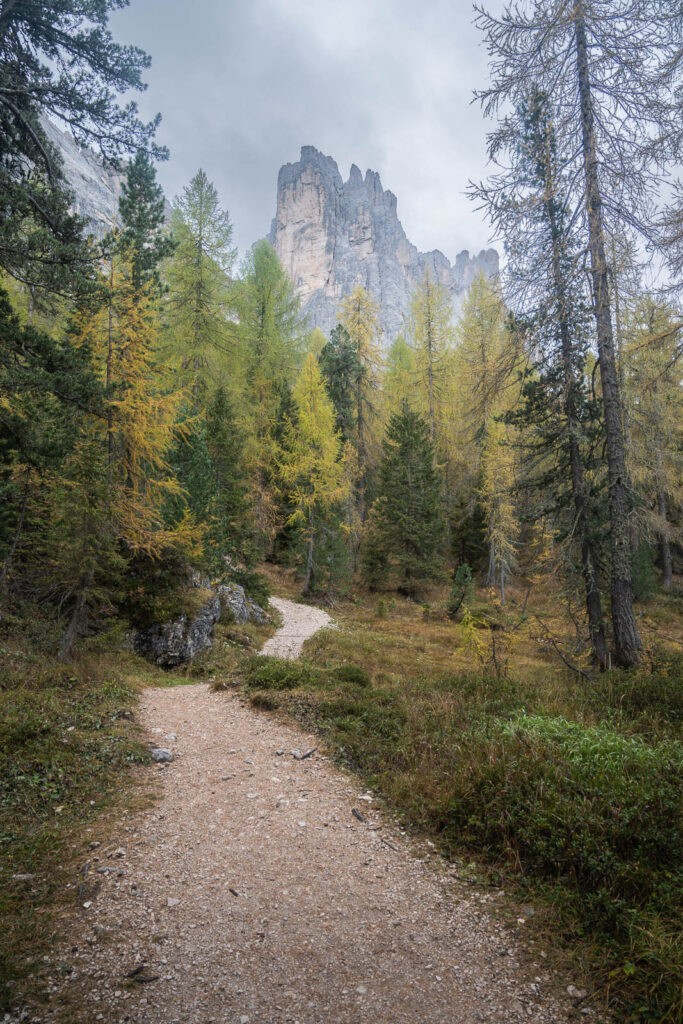 Grave trail through the forest in the dolomites