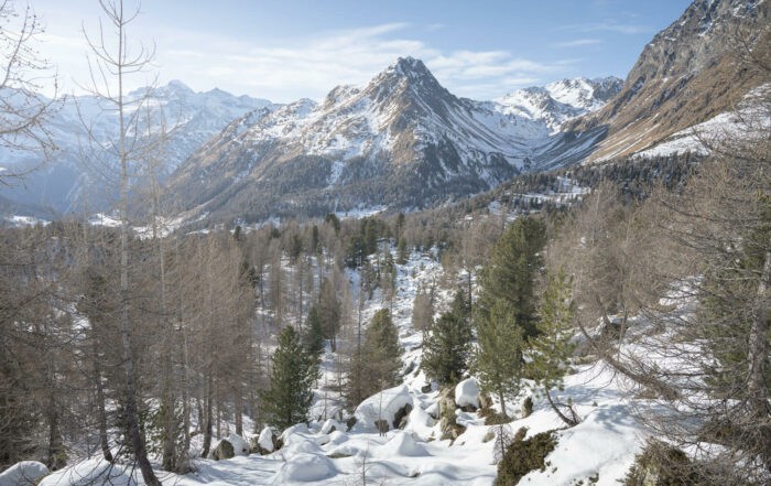 Alpine snow landscape in the Graubunden canton in Switzerland close to Saoseo