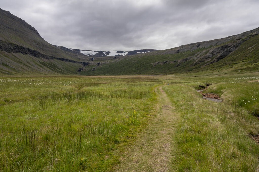 Trail on a green field in the west fjords of iceland.