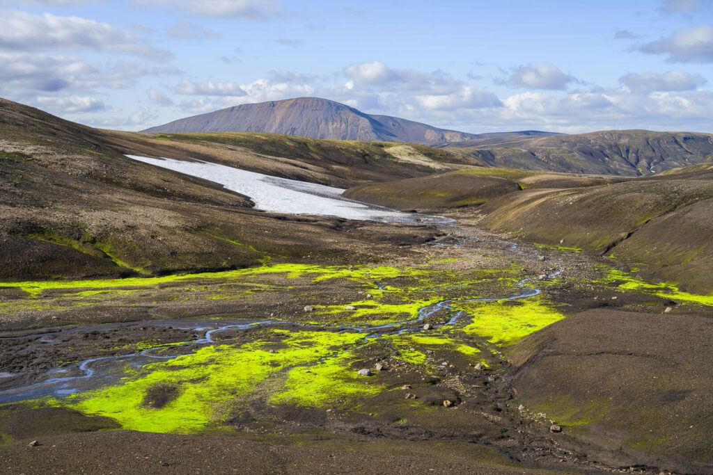 green moss on dark terrain in the highlands of iceland